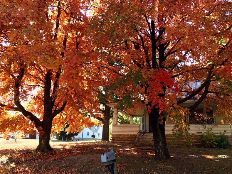 Silvrback blog image