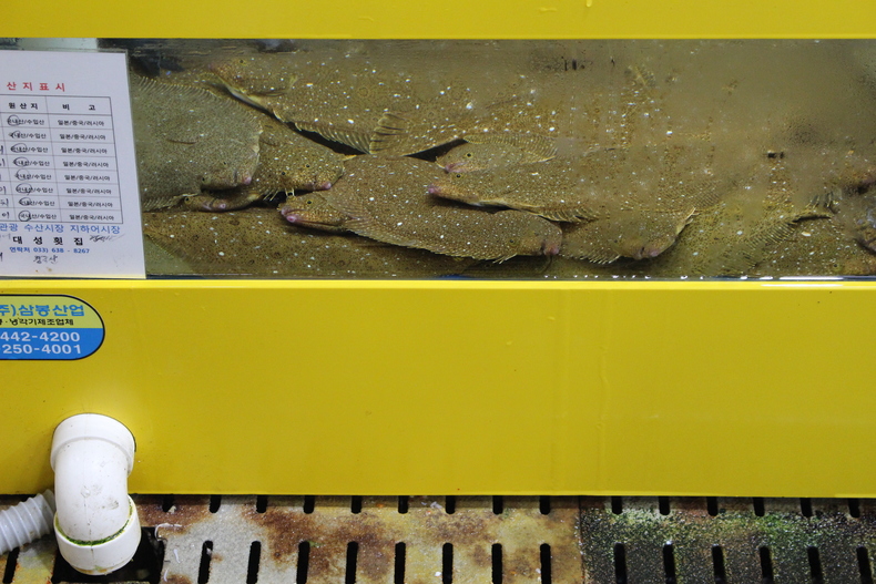 Silvrback blog image