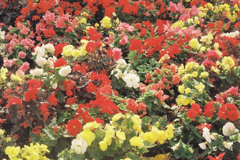 Silvrback blog image