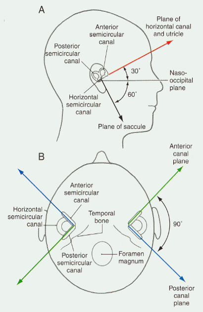 Silvrback blog image