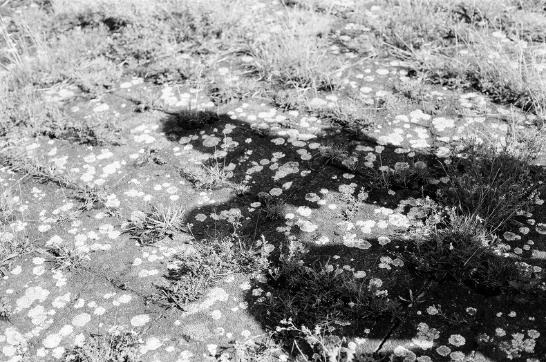 Silvrback blog image