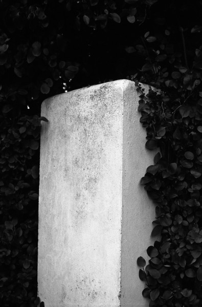 Silvrback blog image