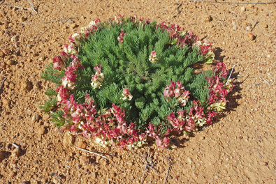 Silvrback blog image