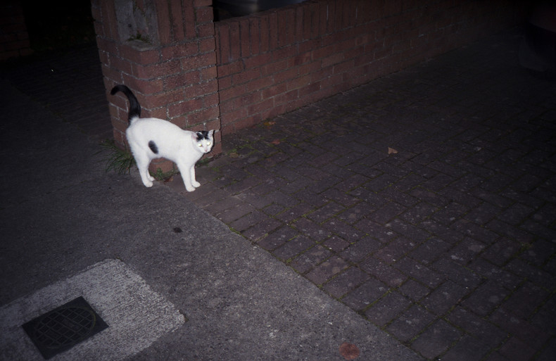 Silvrback blog image