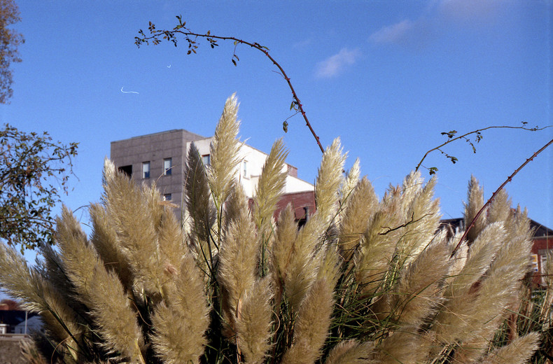 Silvrback blog image