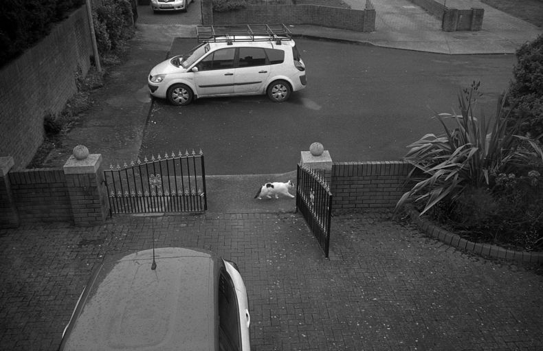 Silvrback blog image