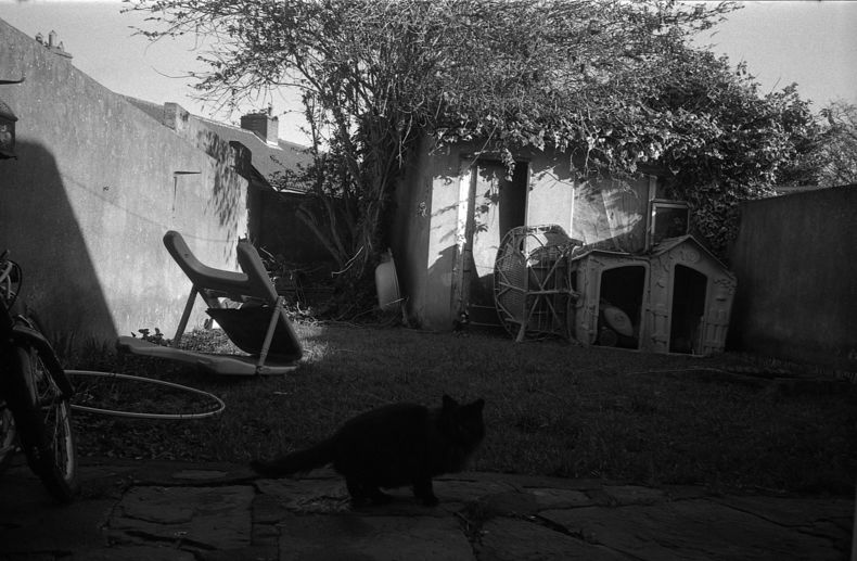 Silvrback blog image