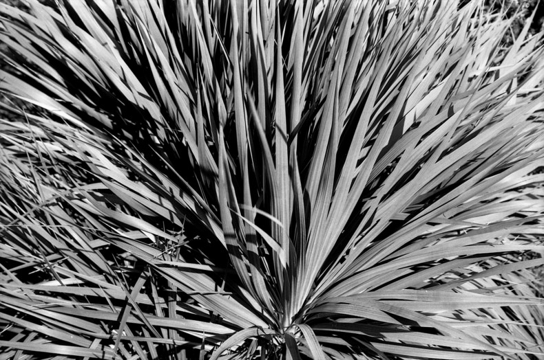 Silvrback blog image