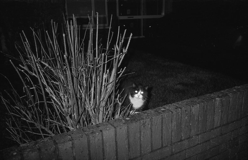 Silvrback blog image