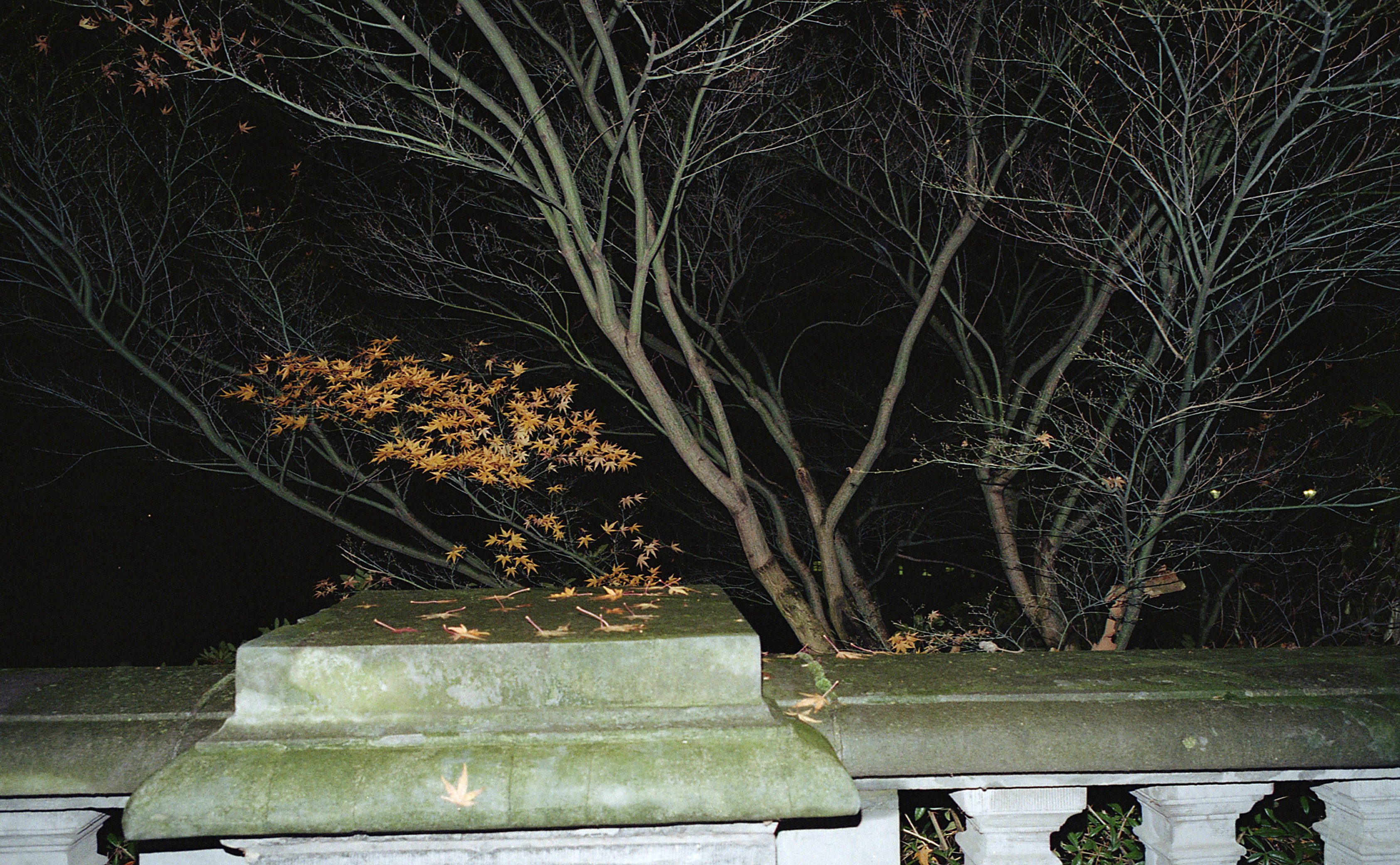 Silvrback blog image