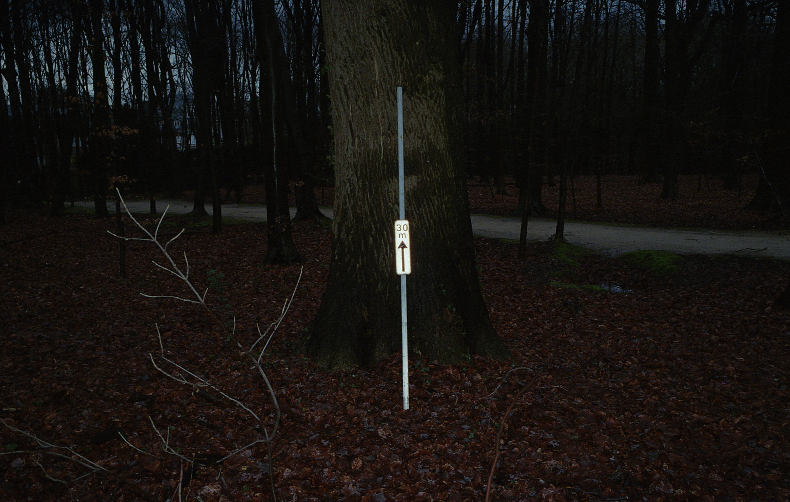 Silvrback blog image