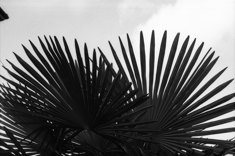 Silvrback blog image