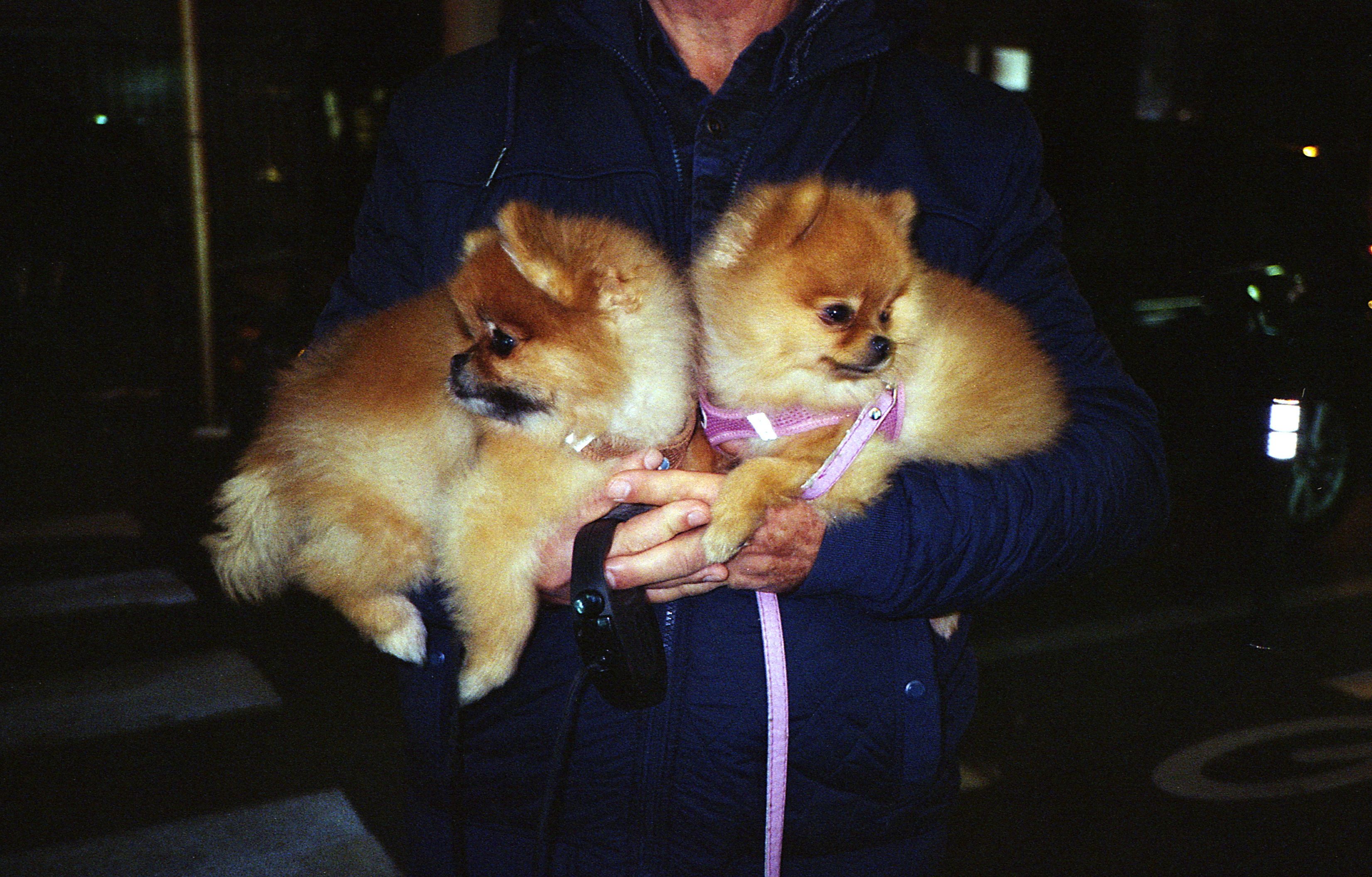 Silvrback blog image