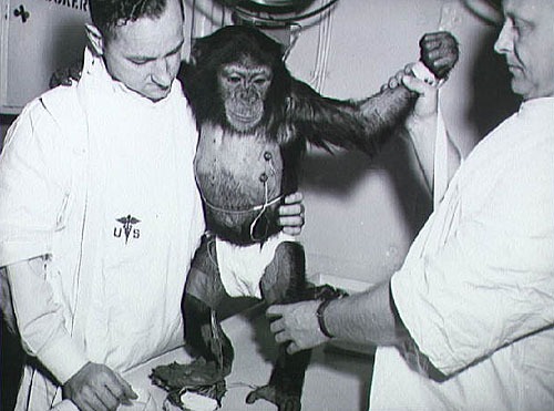 Silvrback blog image