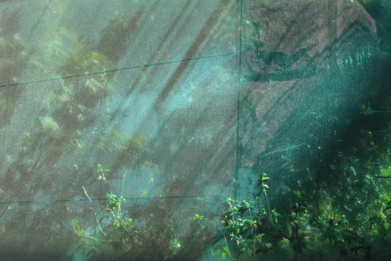 Silvrback blog image