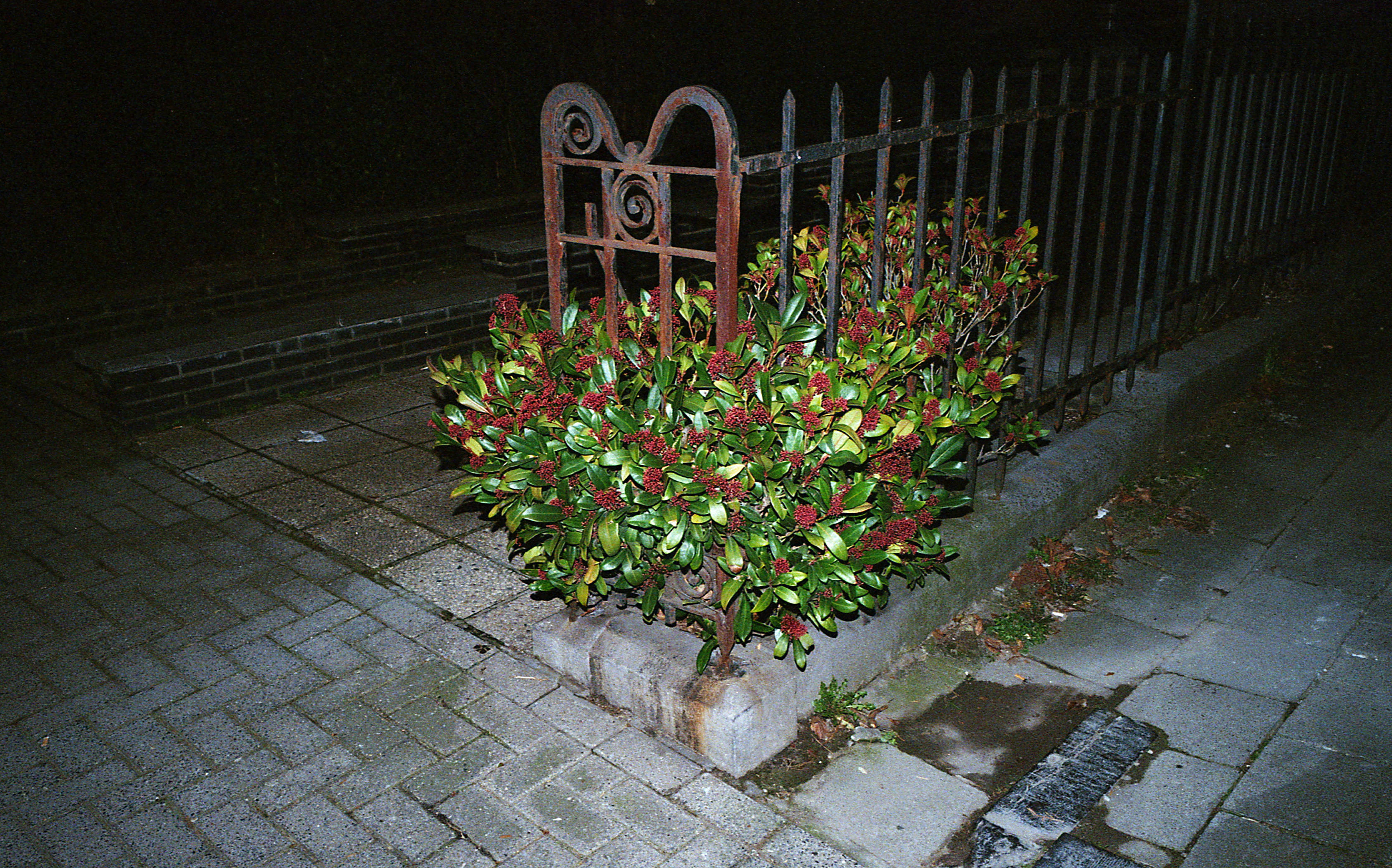 Silvrback blog image