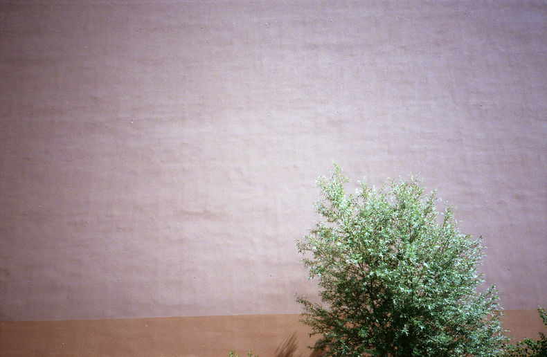 Silvrback blog image