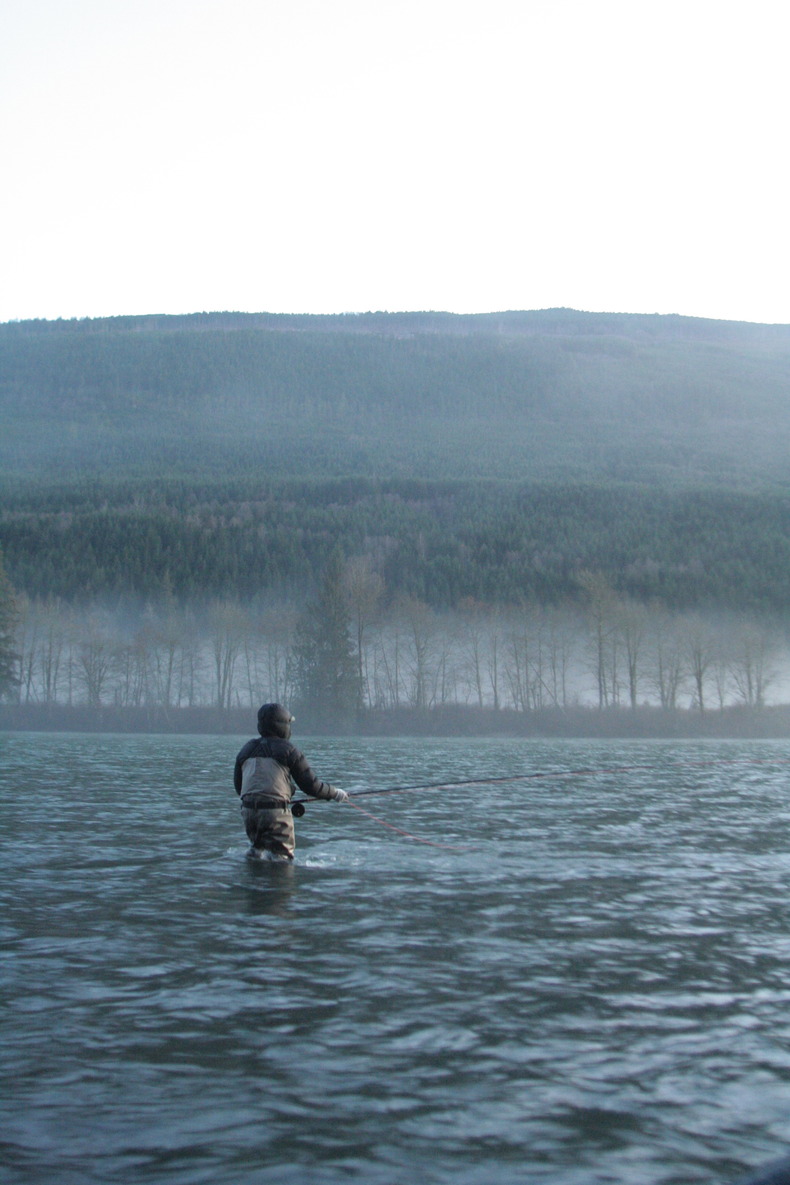 Silvrback blog image