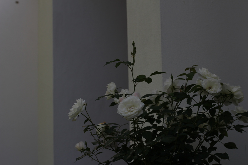 Silvrback blog image