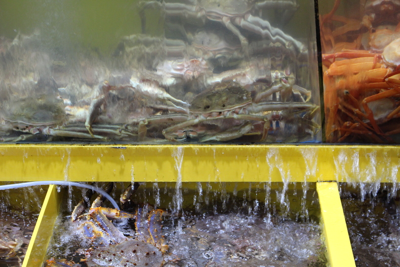 Silvrback blog image