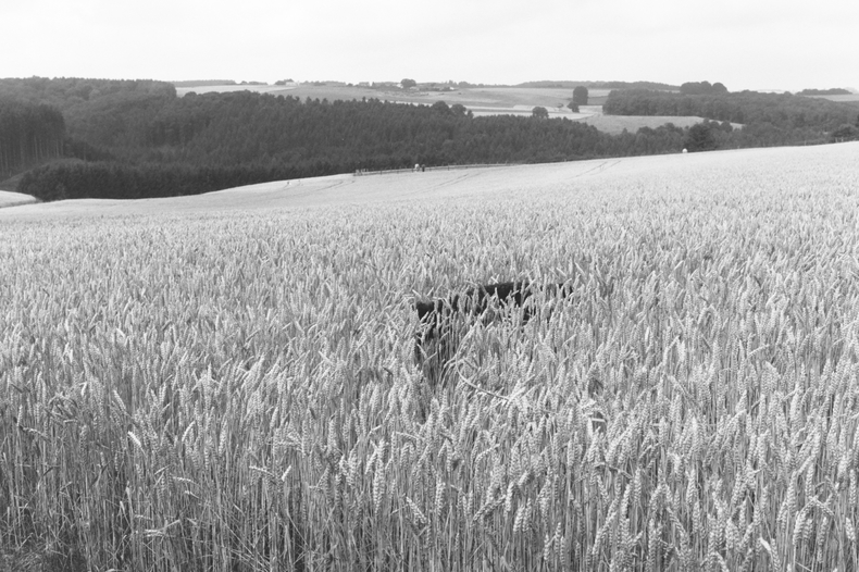 Silvrback blog image