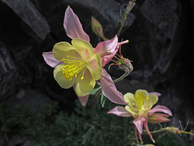 Silvrback blog image