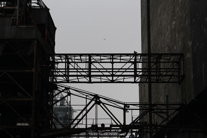 Silvrback blog image