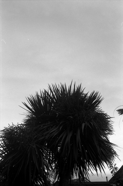 Silvrback blog image