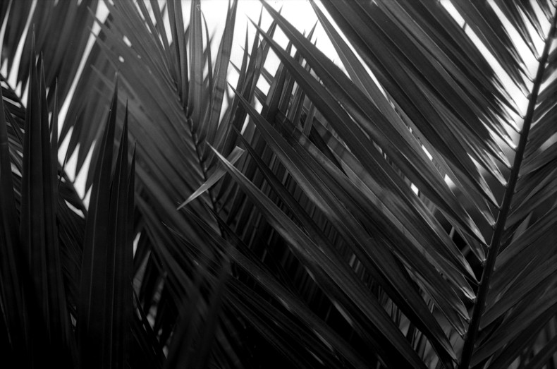 Silvrback blog image