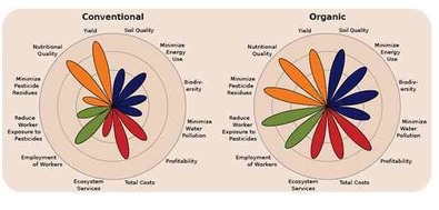 Metrics of Conventional and Sustainable Farming
