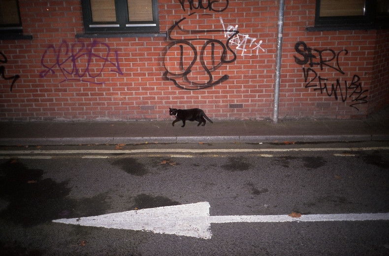 Silvrback blog image