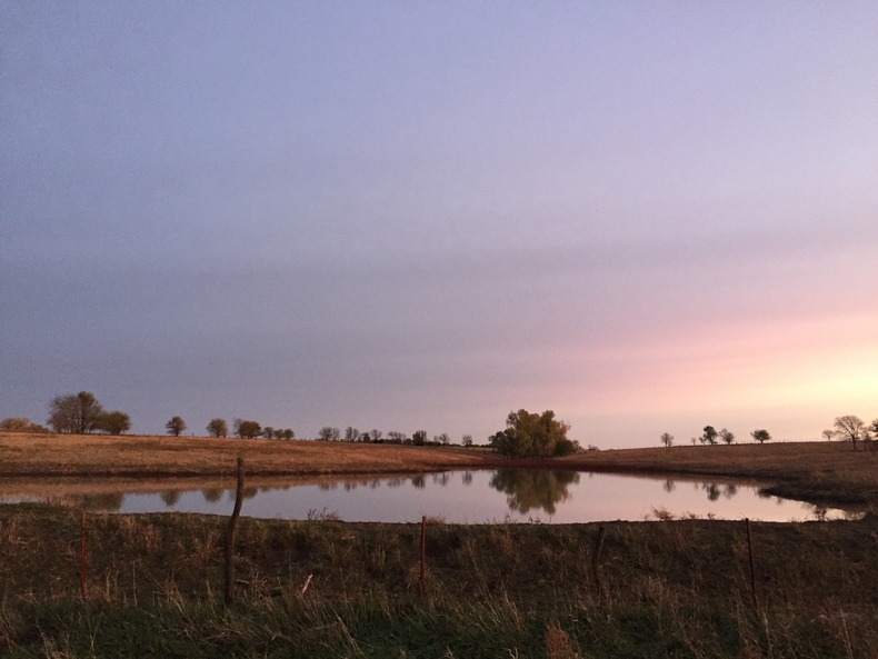 Silvrback blog image