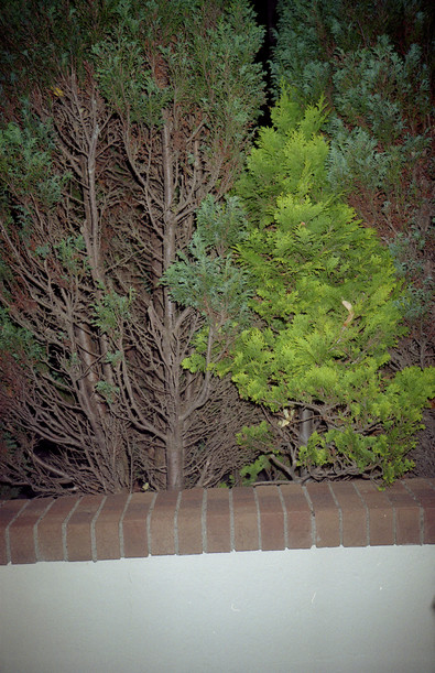 Silvrback blog image