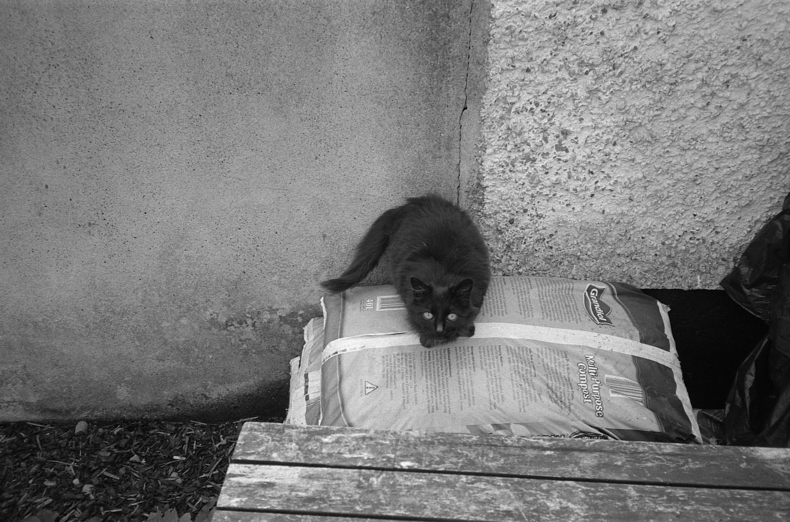 Silvrback blog image