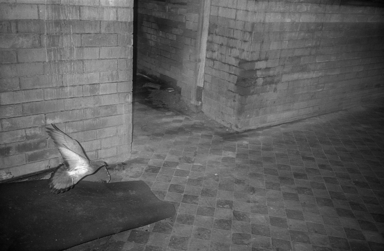 Silvrback blog image