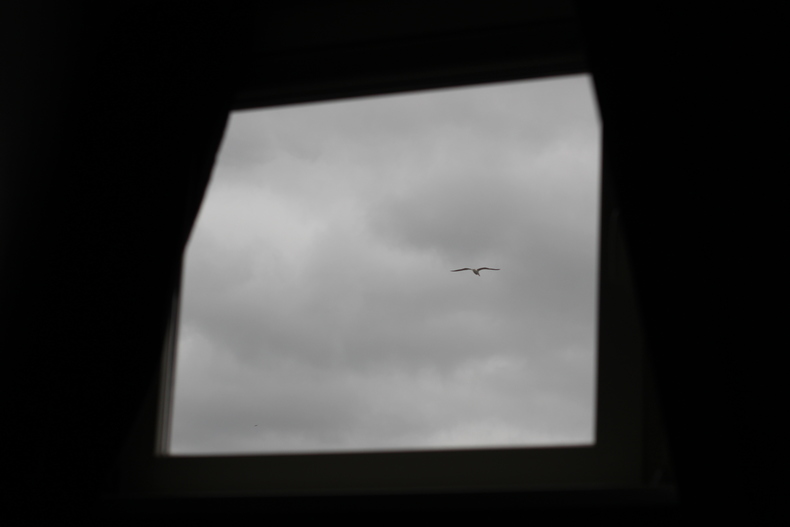 Silvrback blog image