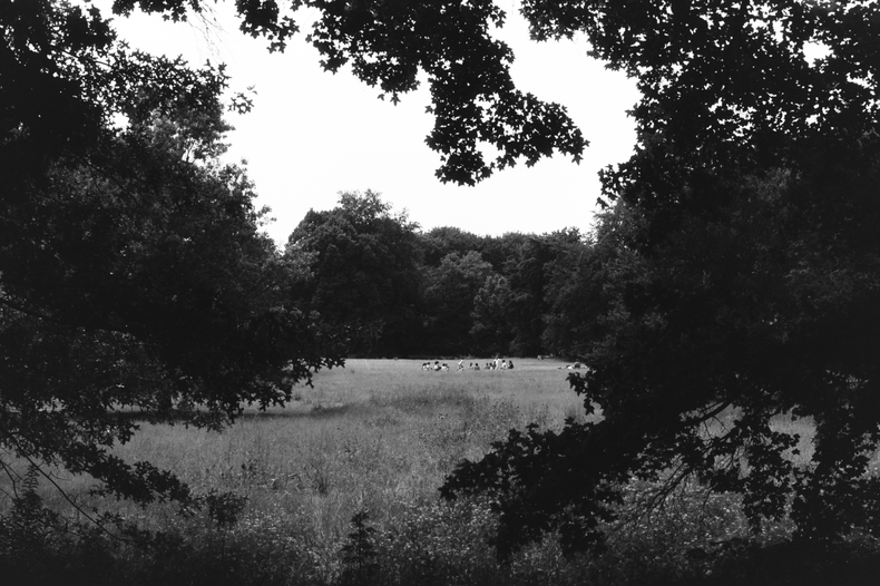 Silvrback blog image