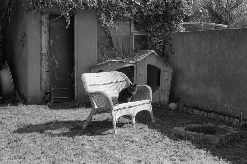 Silvrback blog image