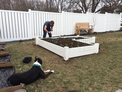 Silvrback blog image