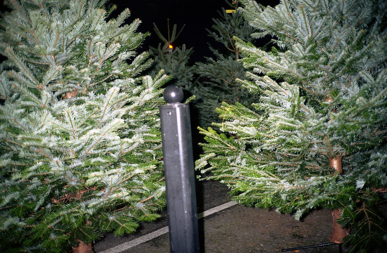 Silvrback blog image