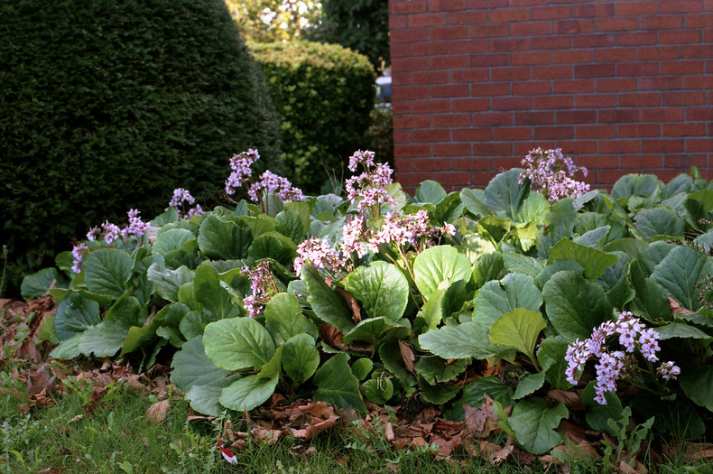 Silvrback blog image