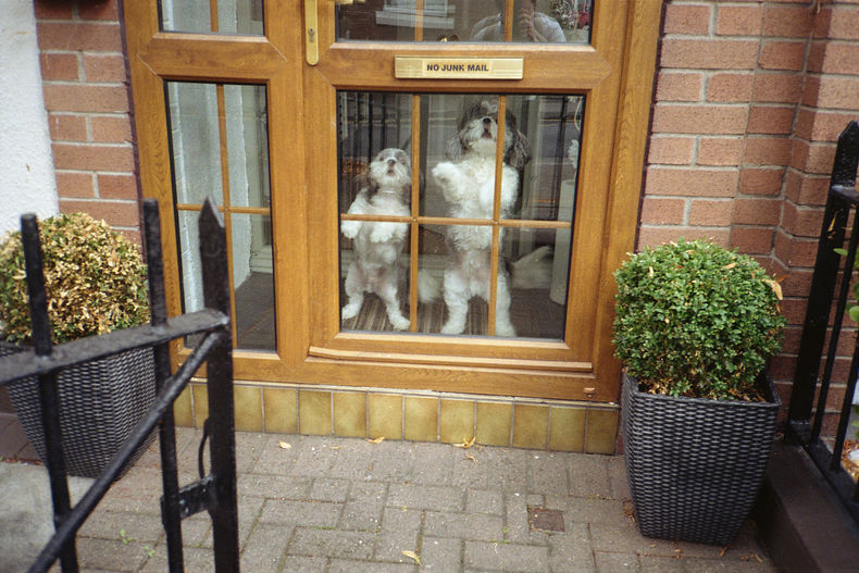 Silvrback blog image