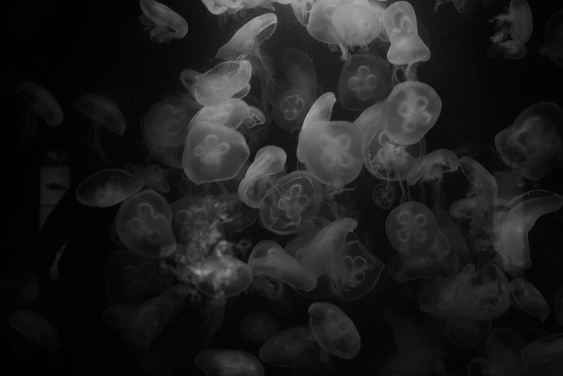 Silvrback blog image