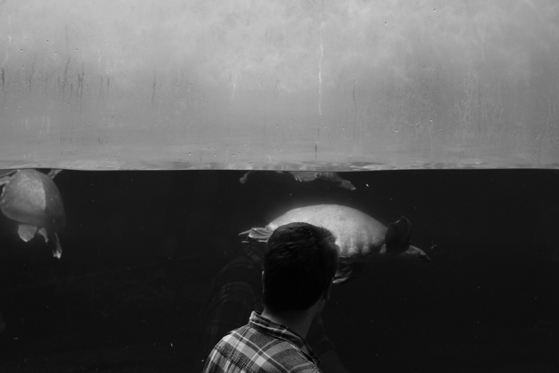 Silvrback blog image