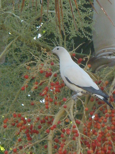 Silvrback blog image