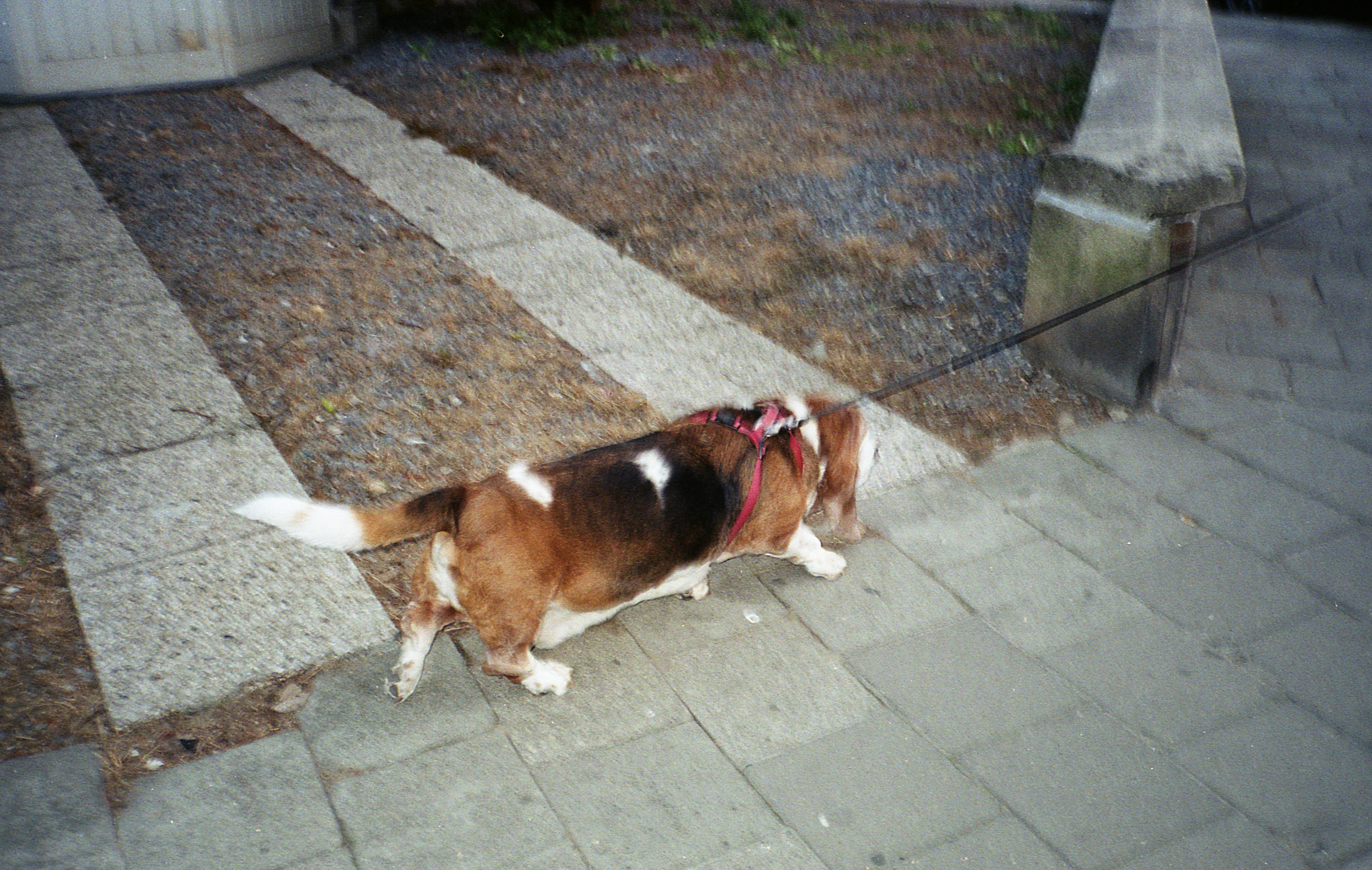 Silvrback blog image