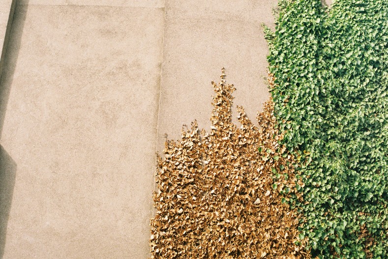 Silvrback blog image