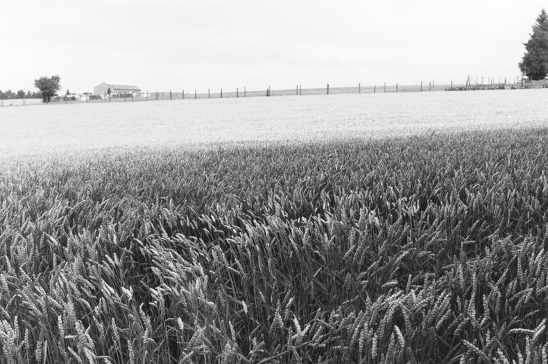 Silvrback blog image