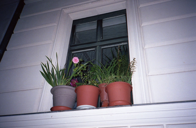 Silvrback blog image