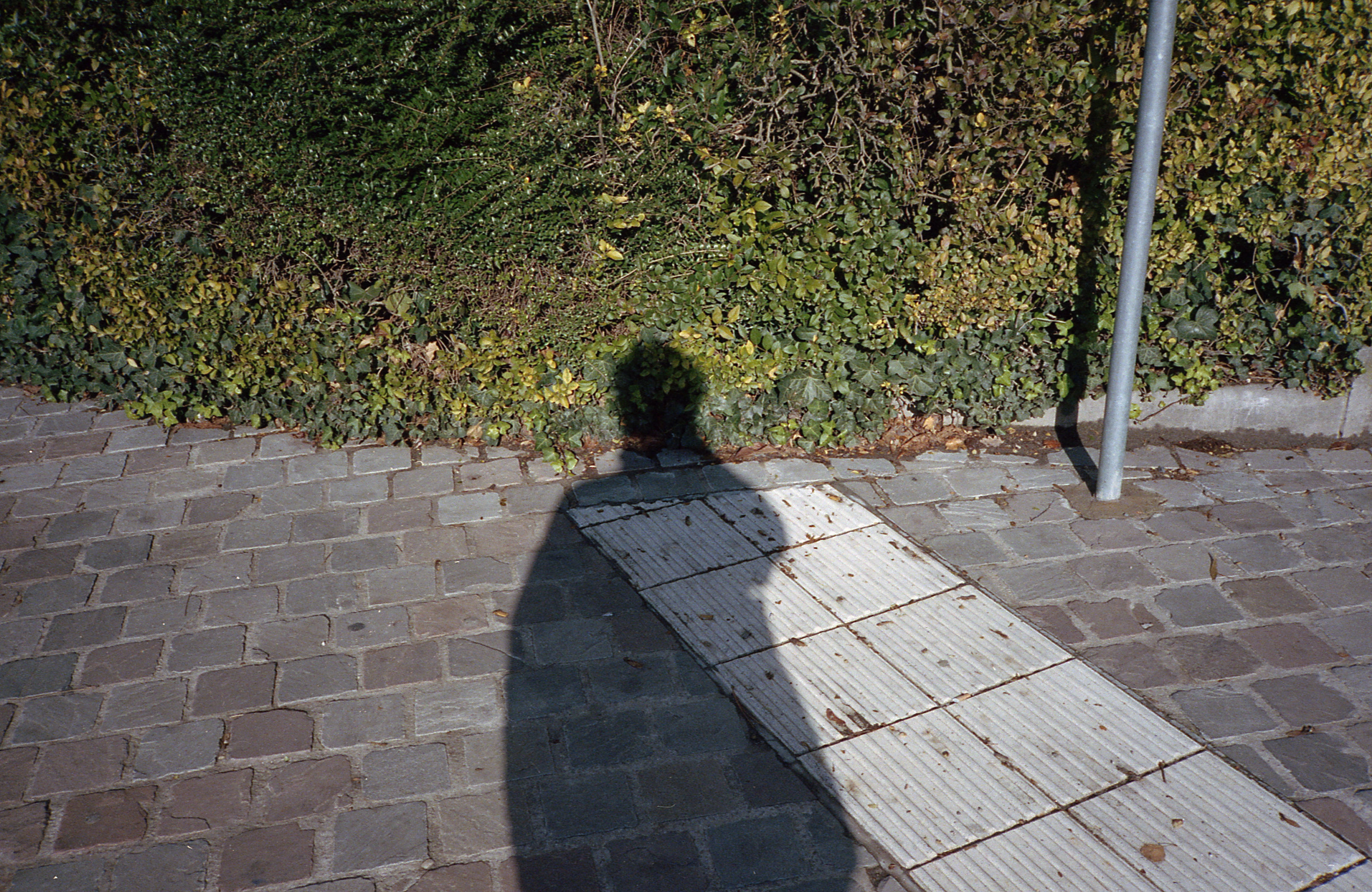 Silvrback blog image